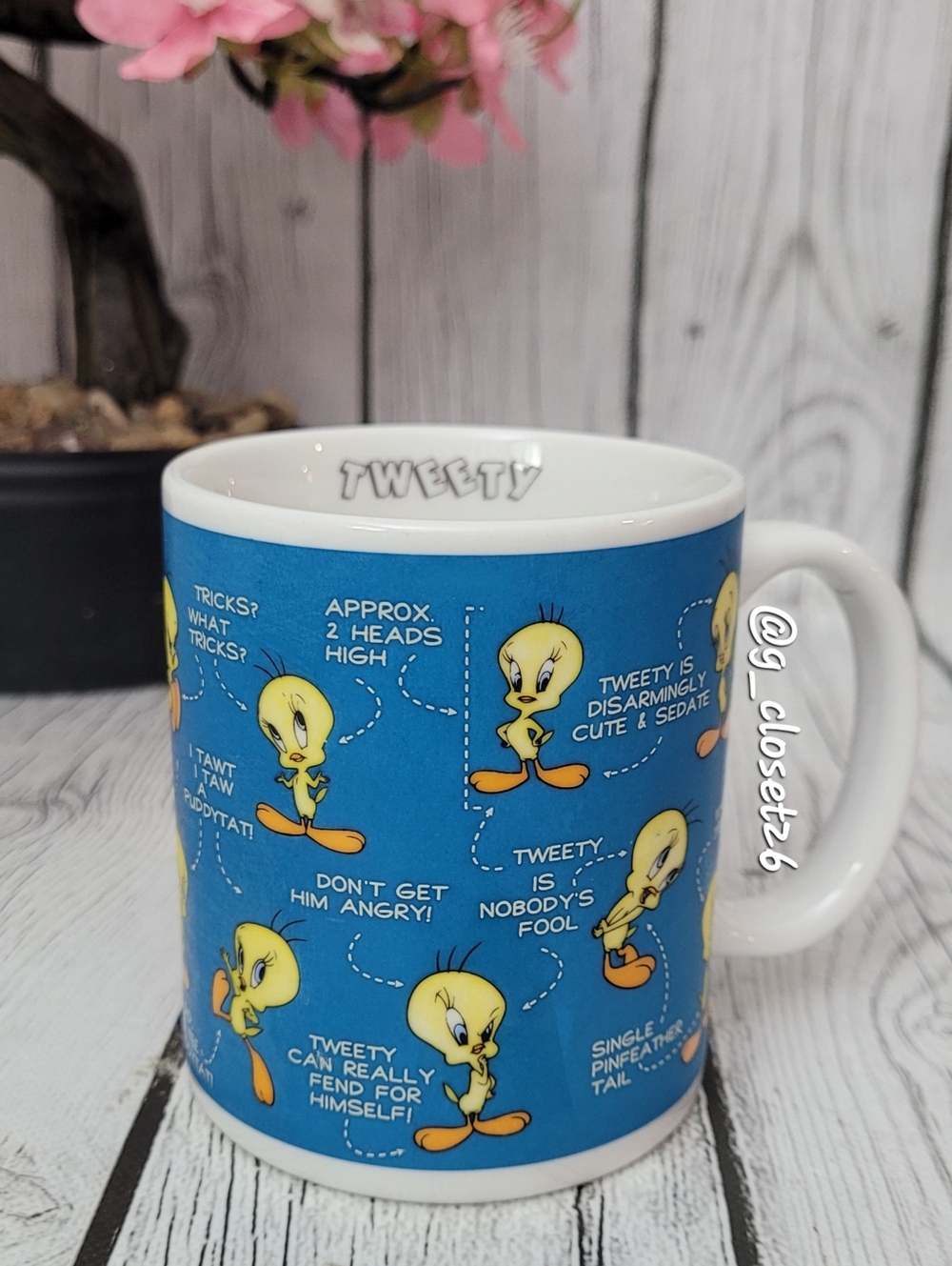 TWEETY BIRD Coffee Mug Warner Bros - Looney Tunesl